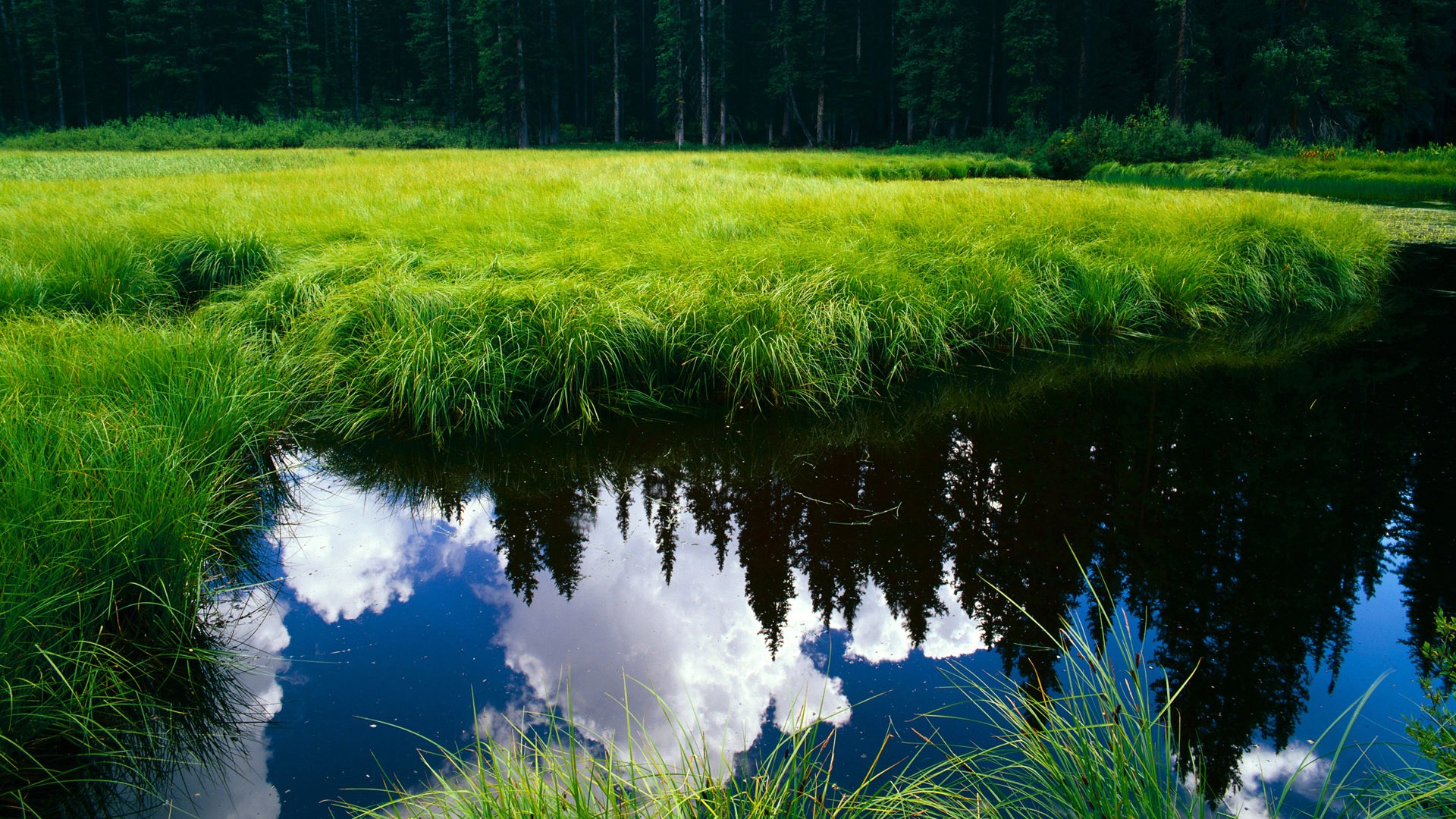 “青春之光”青少年篮球公益电影在全国院线上映，弘扬励志正能量