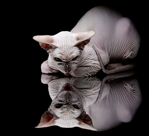 【“悬空球”规则试点】战术空间大开,创新玩法激发新战斗,悬空的概念