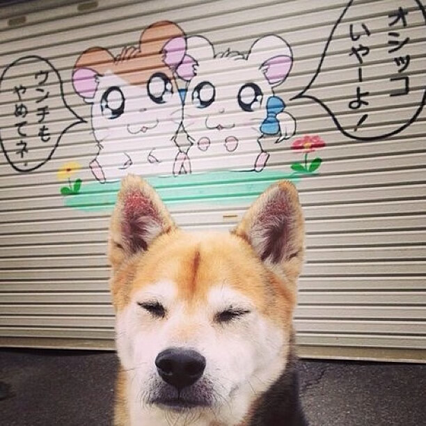 未来联盟:虚拟电竞实时互动,线上线下一体化新玩法,未来 电竞