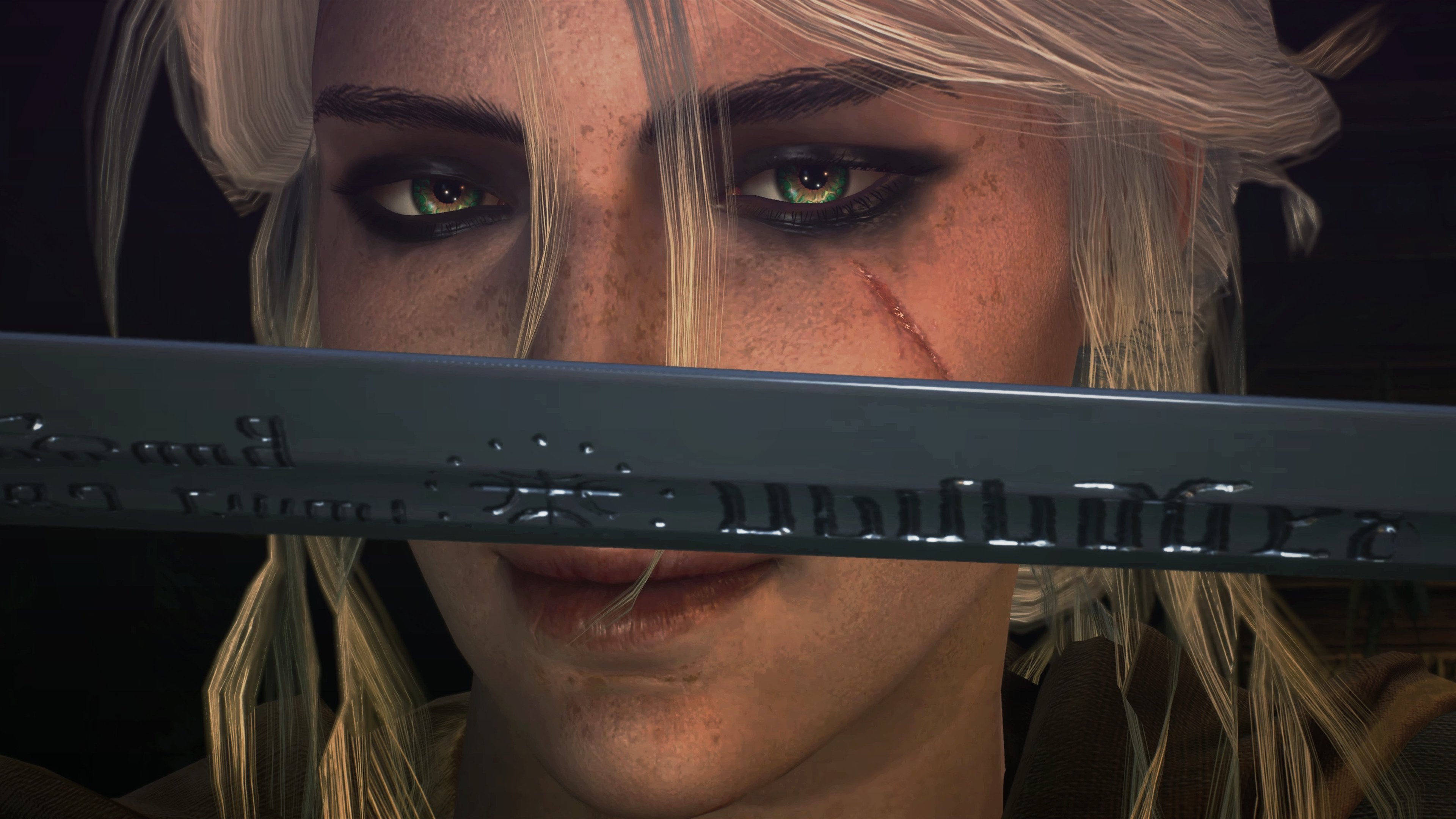 草原骑马体验营，感受民族传统运动魅力，草原骑马怎么收费