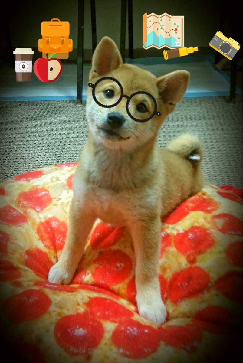 赛季高潮:年度最令人期待的决赛时刻