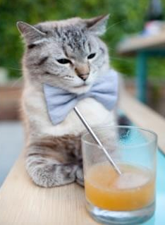 香肠派对“荒野生存”挑战赛热血开启,香肠派对生存分