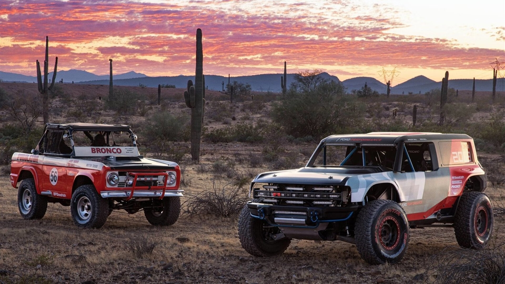 体育防线稳固,球队表现稳定,体育防守