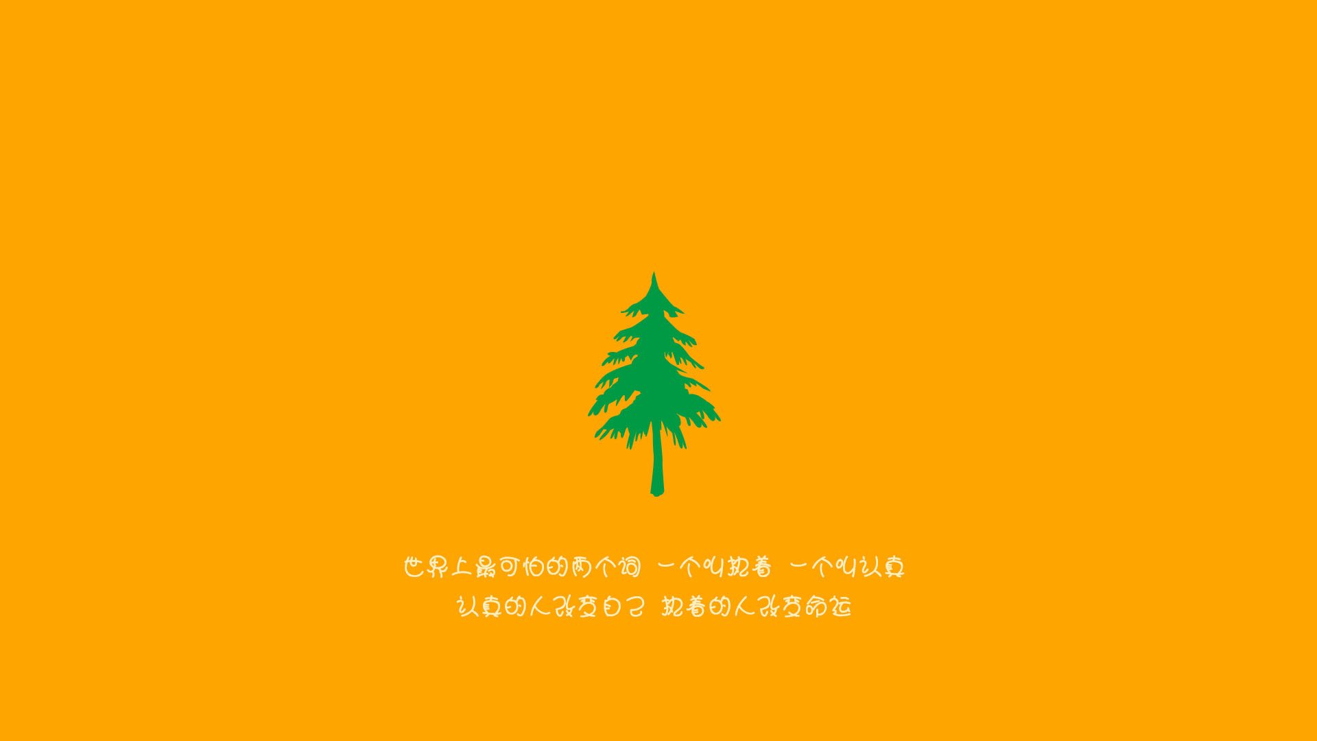 体育防线稳固，球队表现稳定，体育防线稳固,球队表现稳定的原因