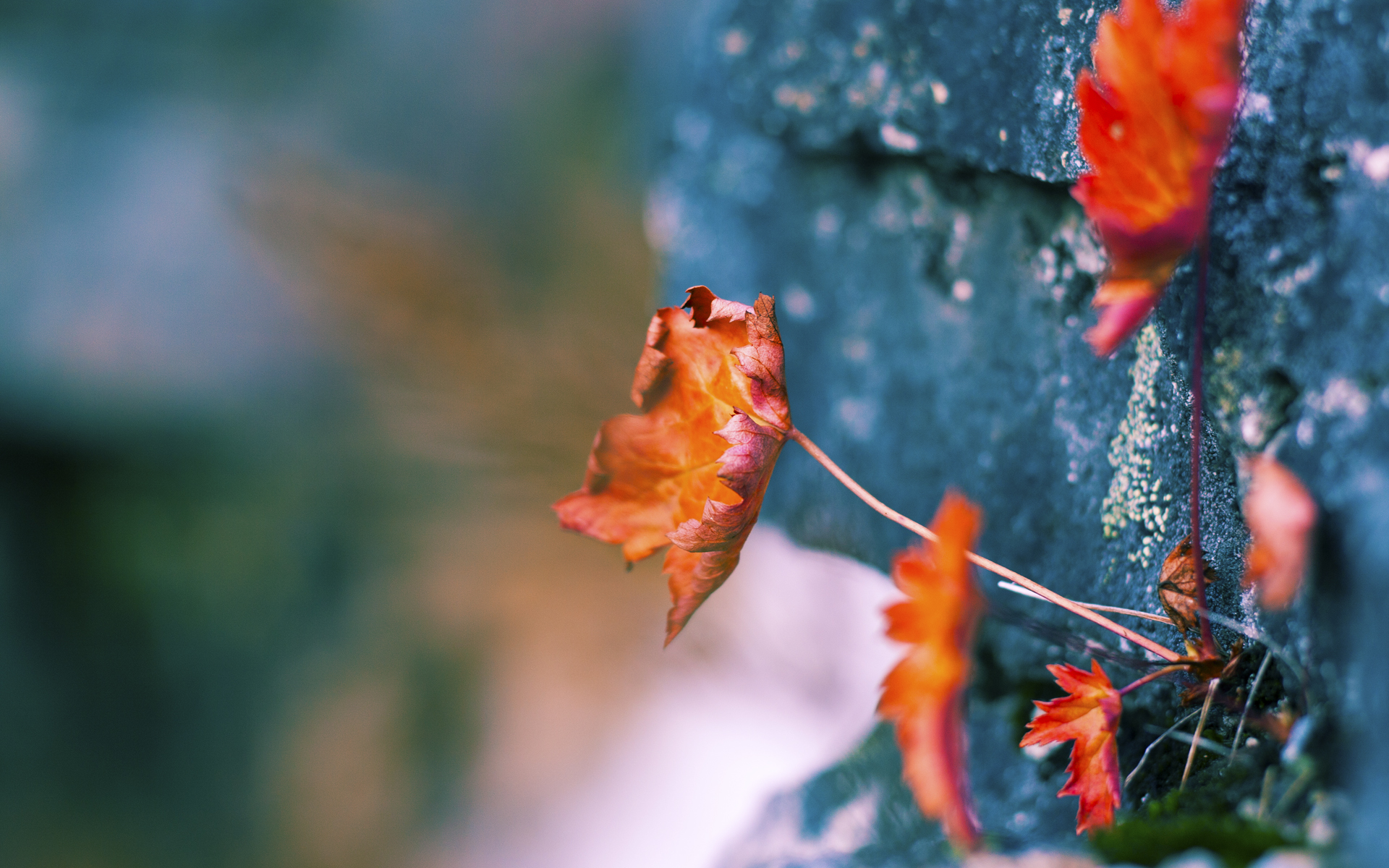 体能教练地位是否逐步接近主教练等级，体能教练级别