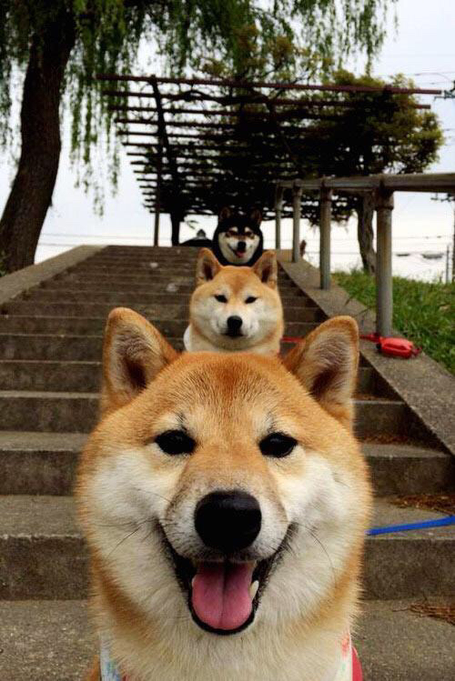 堡垒之夜推出蜘蛛侠主题赛季，堡垒之夜lol