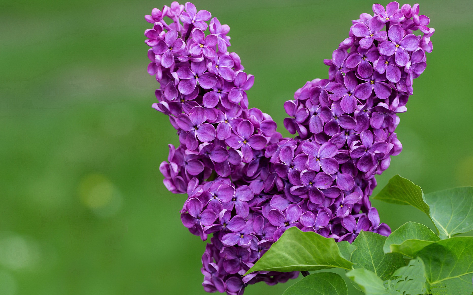 堡垒之夜新增武器引热议,堡垒之夜所有武器
