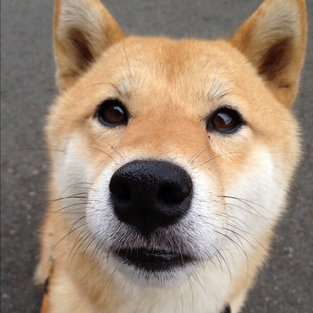 巴萨点球大战淘汰曼联，晋级欧冠四强，巴萨打曼联谁赢了