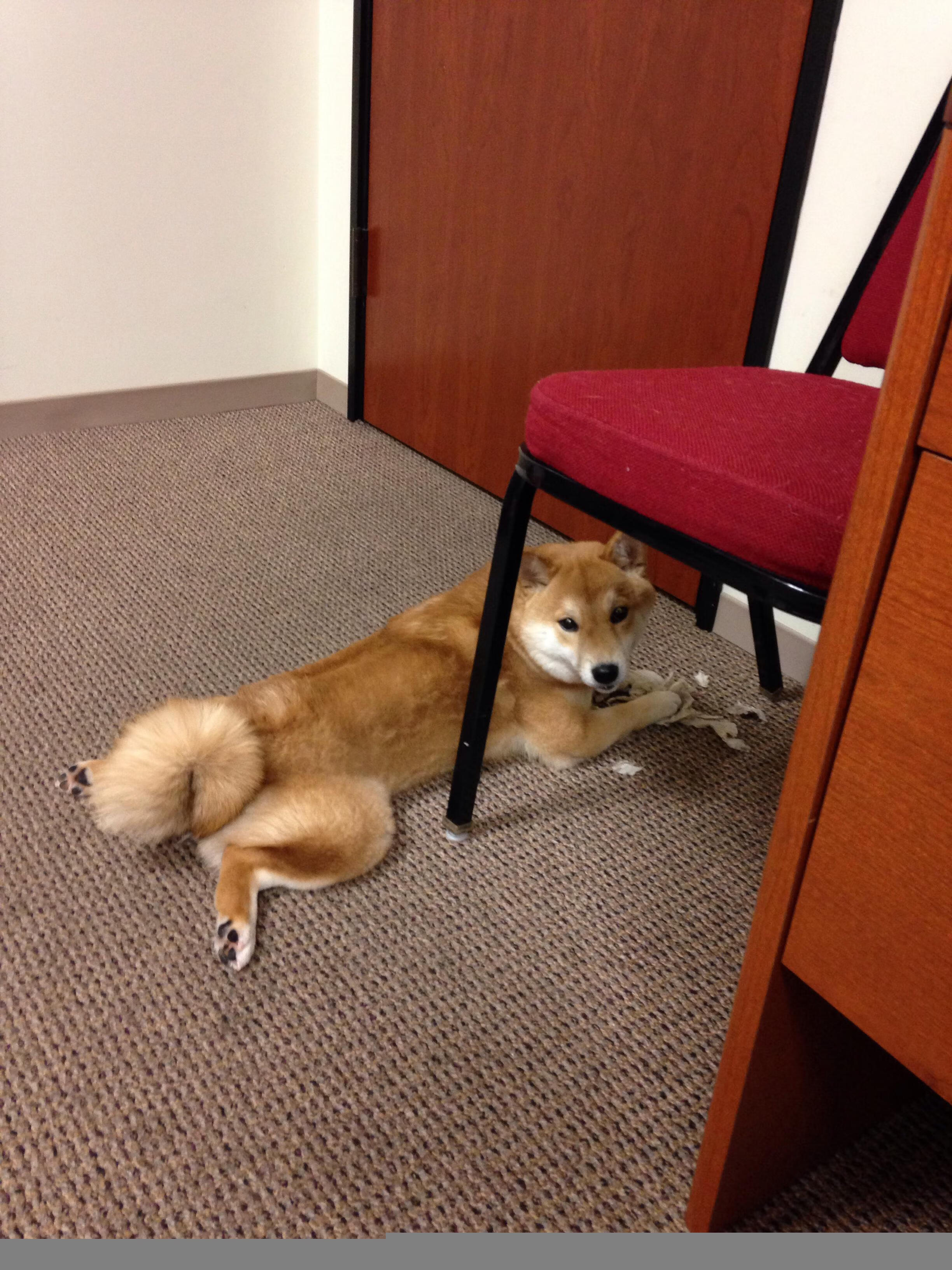 巴萨球员受伤下场，全队气氛紧张，巴萨伤员名单