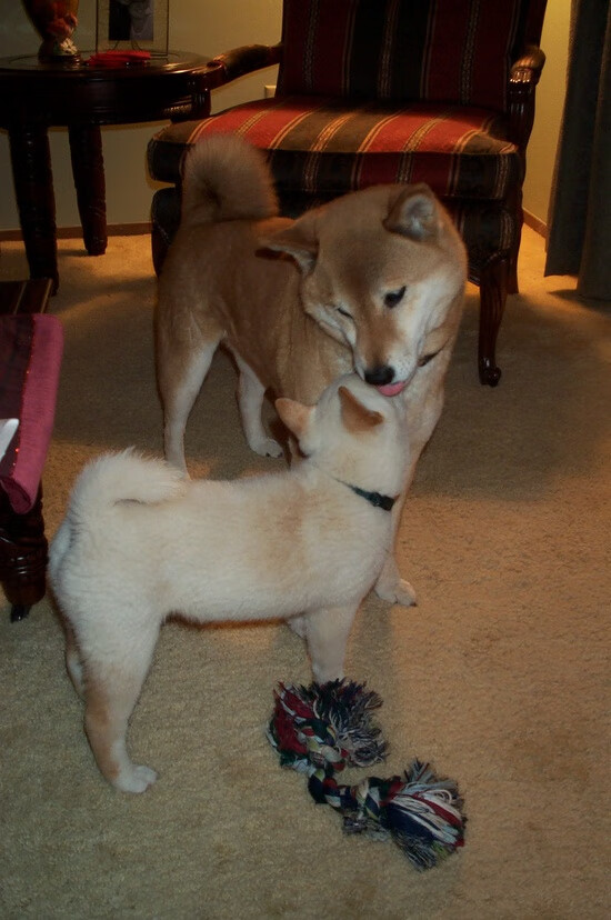 快船大胜森林狼,季后赛首轮中乔治锁死对手,快船对森林狼比赛预测