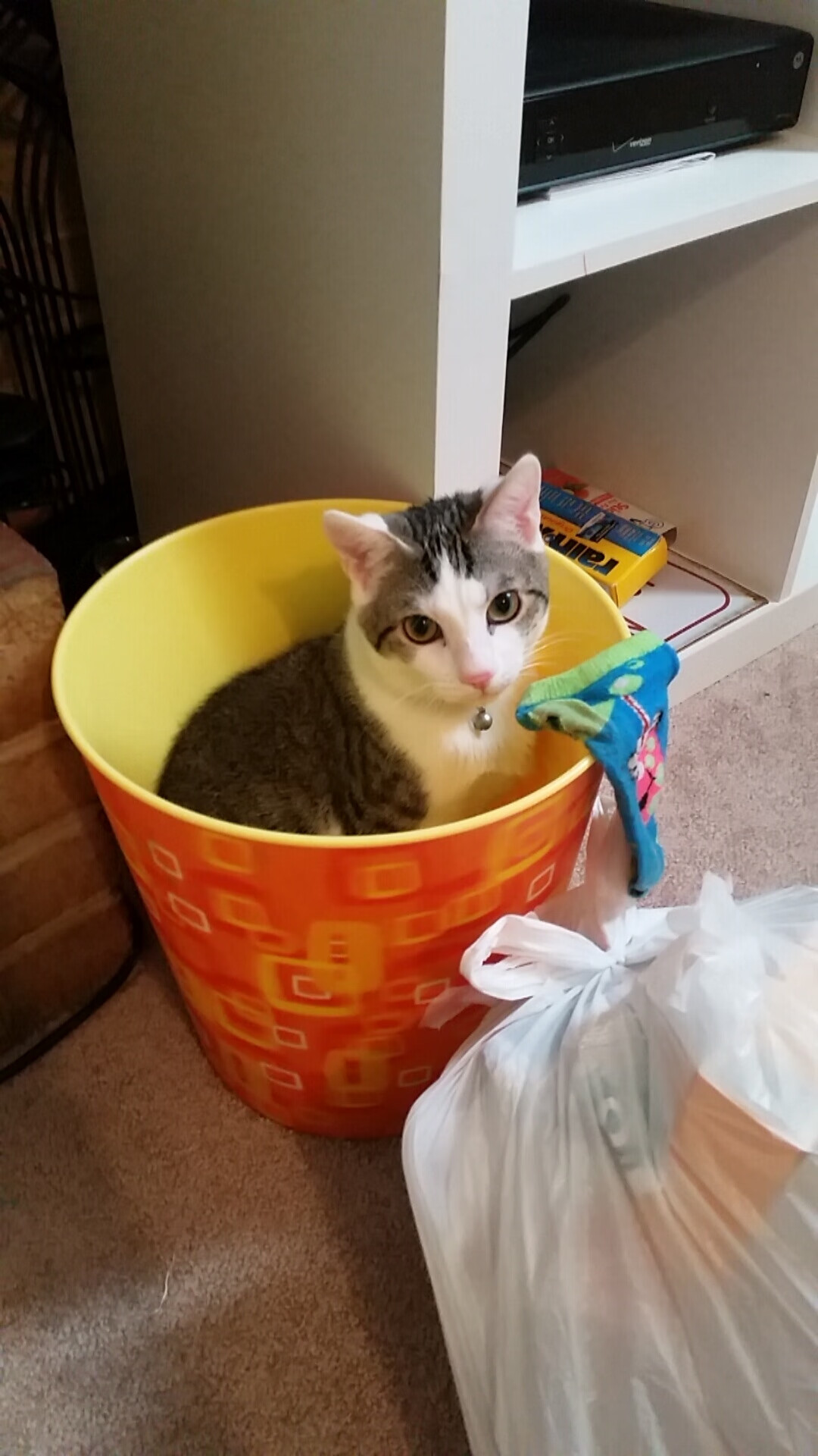 摩洛哥队中场球员进球助球队获胜，摩洛哥球队阵容