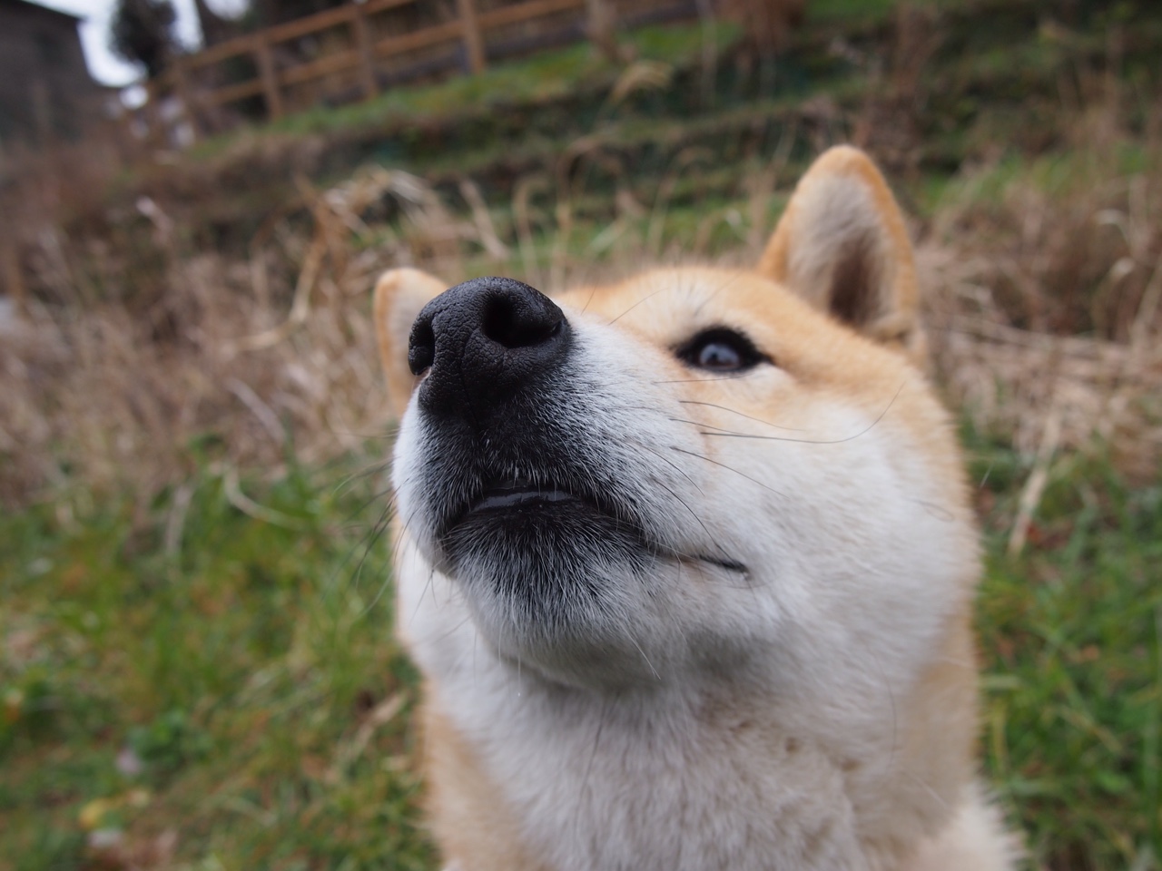 比利时马术协会推出马术运动员心理辅导项目，提升竞技表现。，比利时马拉松