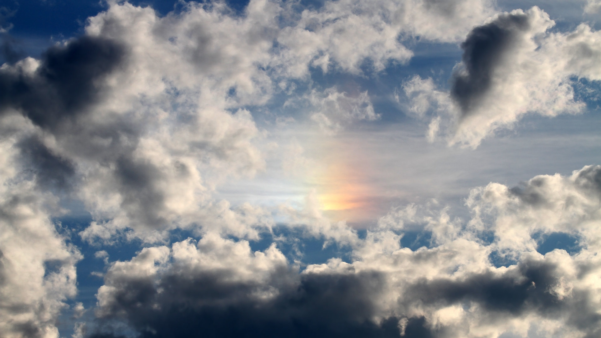 美洲强队齐聚篮球大赛,谁能笑到最后?,美洲强队齐聚篮球大赛,谁能笑到最后