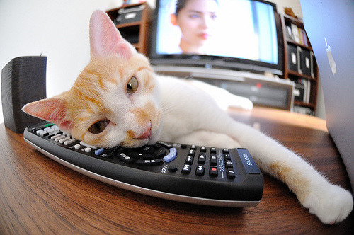 里尔队长力挺新援表现,看好未来携手冲击冠军,里尔队大名单