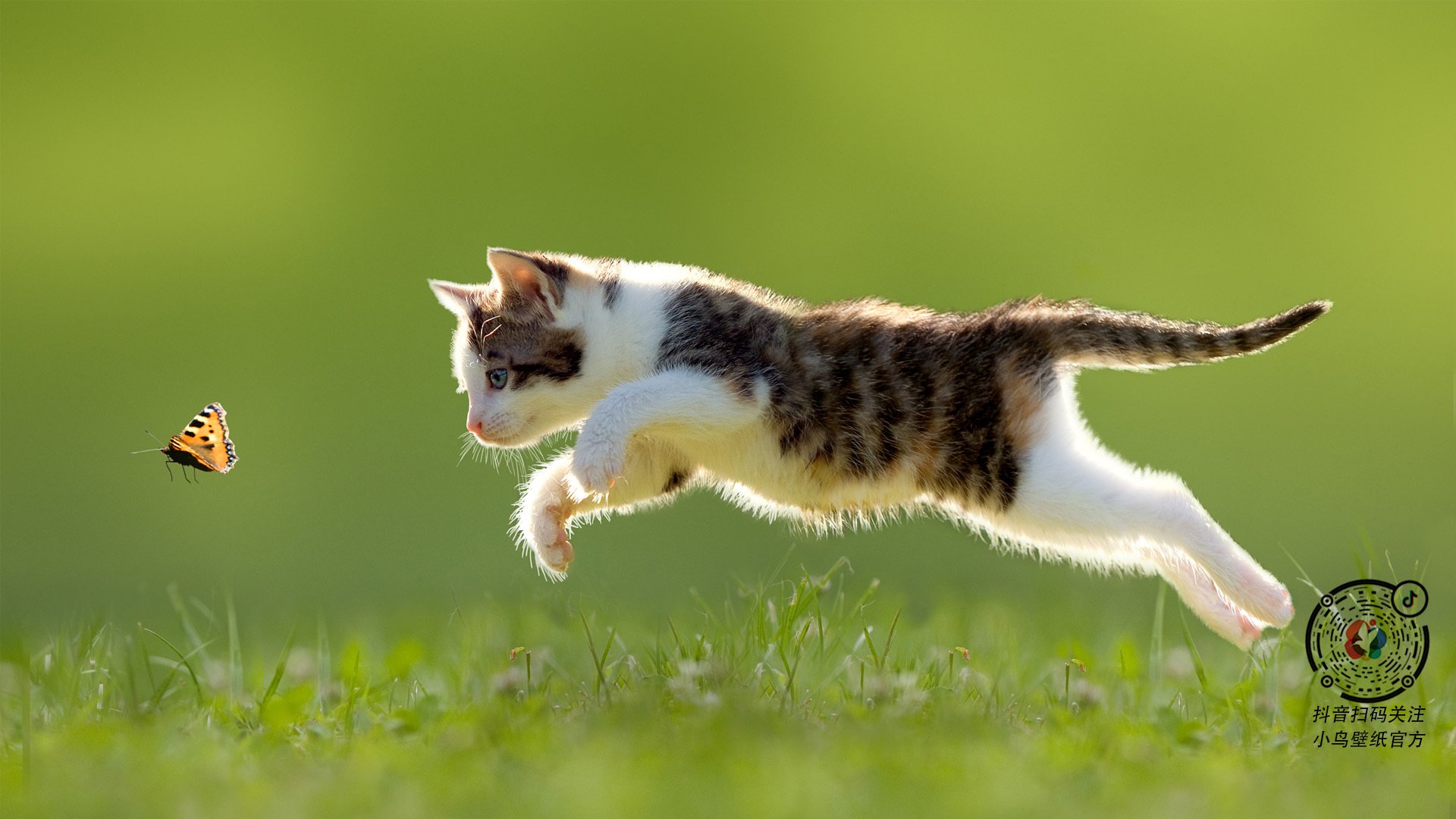 青岛中能上演客场挑战广州富力，谁将笑到最后？，青岛中能集团有限公司