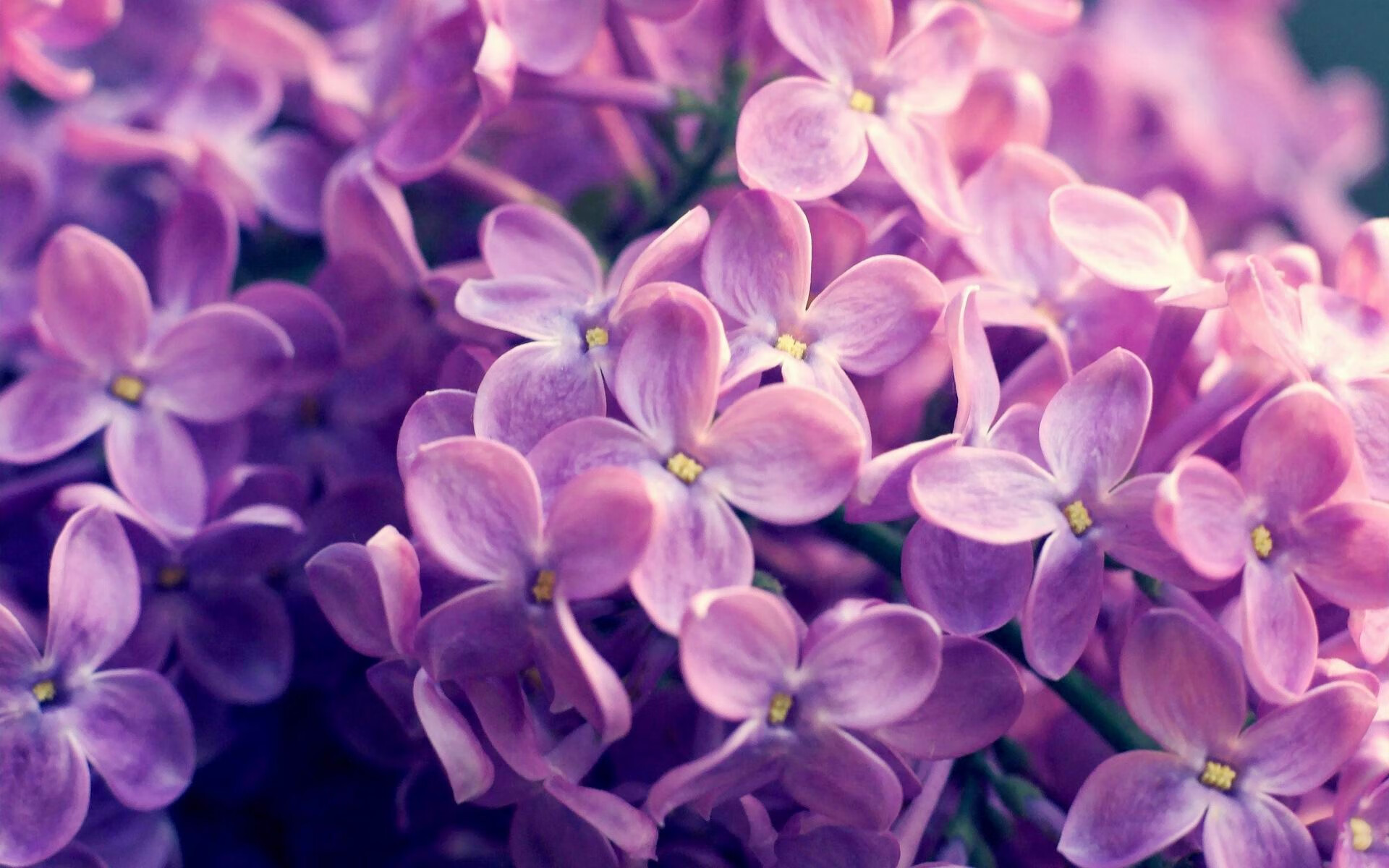 体育产业政策执行情况分析,体育产业政策文件汇编