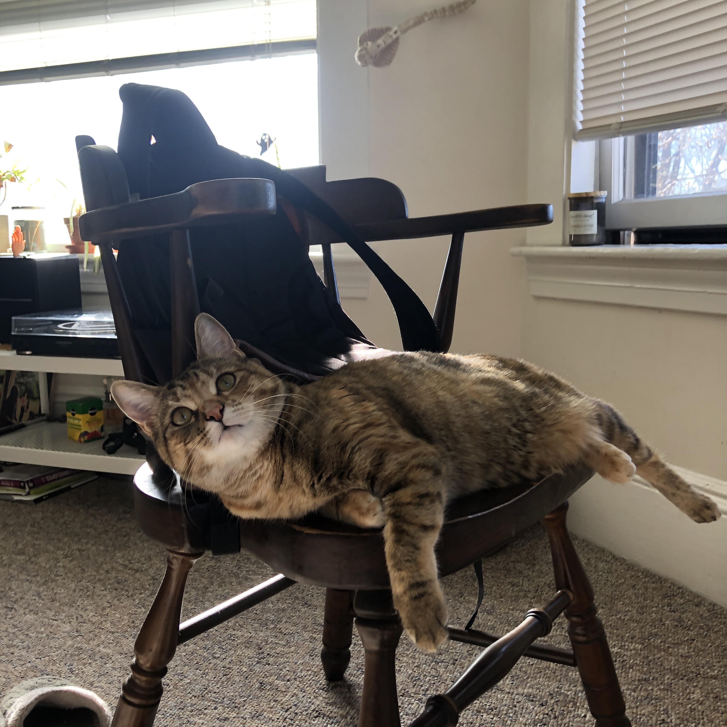 篮球专项体能训练疲劳监控技术研发及应用,篮球体能系统训练计划