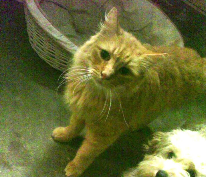 “东安湖赛场:挑战极限,跑酷运动员创造新记录”