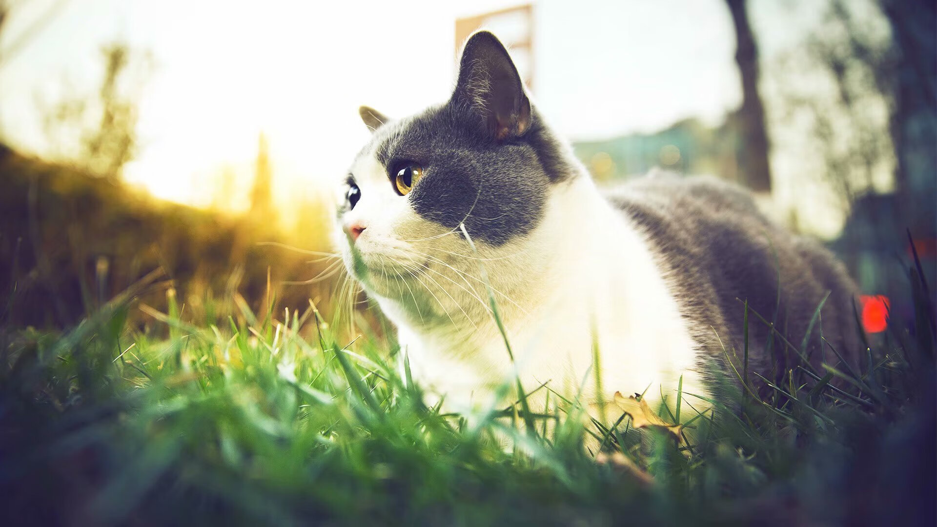 中国男篮年轻球员表现突出 未来发展潜力巨大，中国年轻男篮球运动员