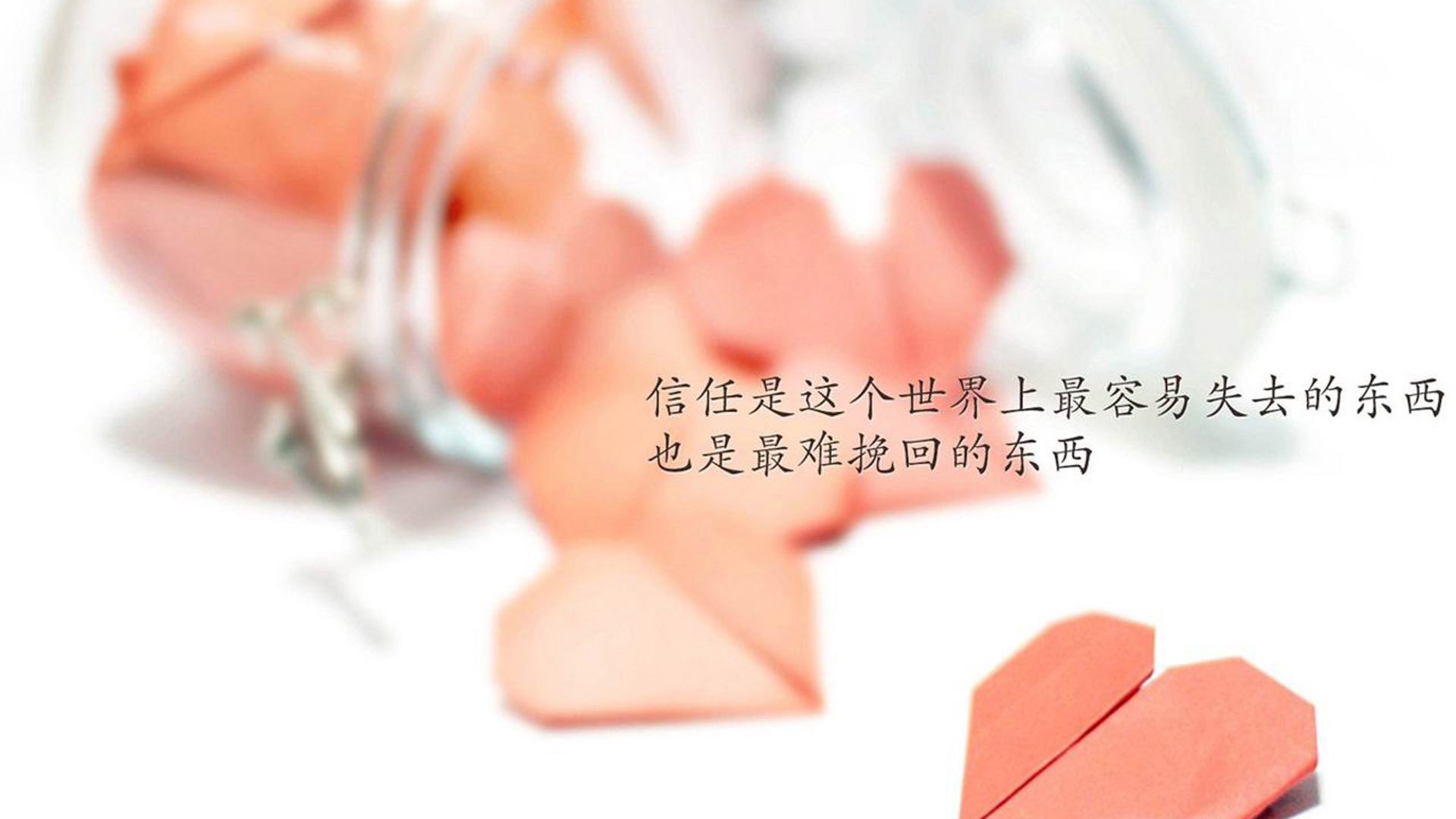 体育新闻中心上线体育内容智能审核系统，最新的体育新闻报道在哪看