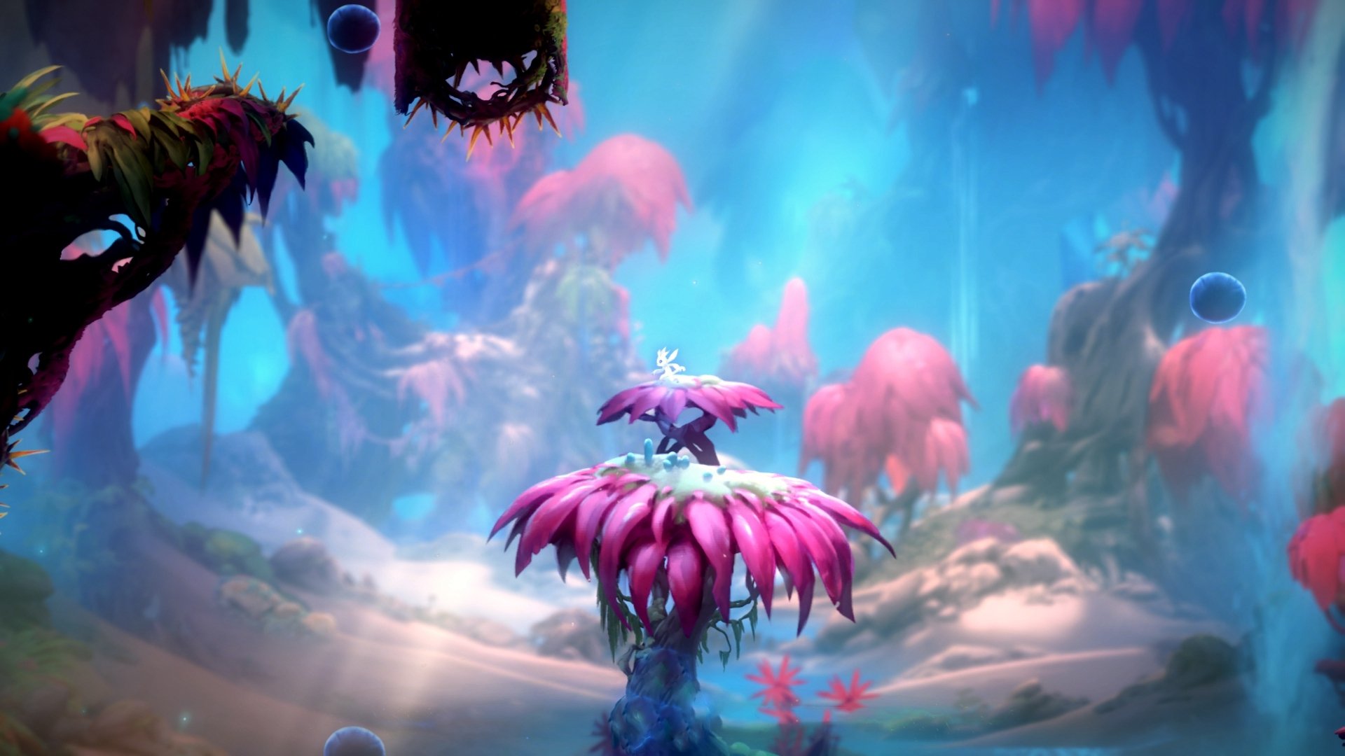 波兰队表现抢眼:国际乒联混合团体世界杯赛场亮点,波兰世界比赛完整