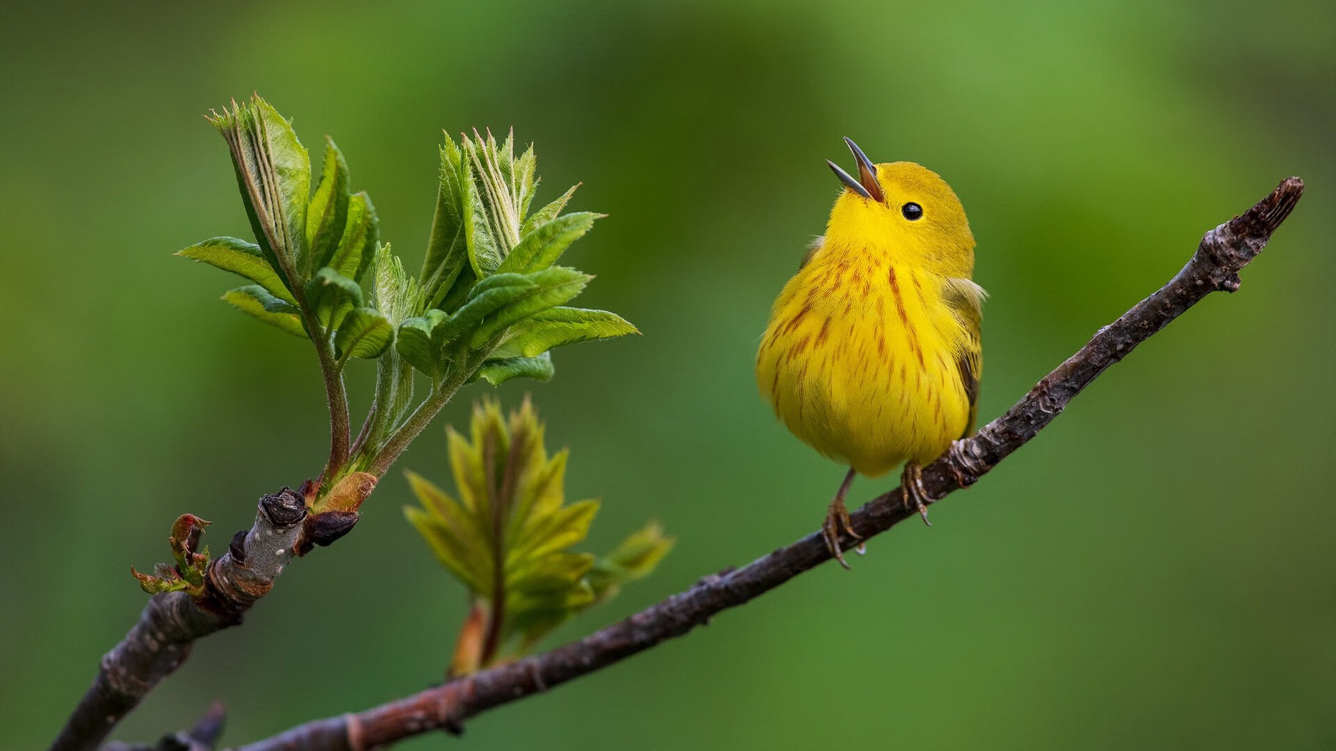 马拉松摄影展记录选手奋力瞬间,马拉松摄影师位置