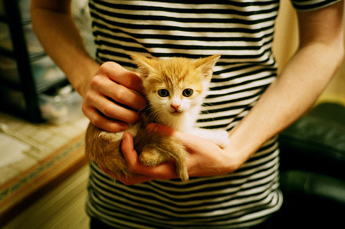 英国男子4×200米自由泳接力展现未来潜力，男子4×200米自由泳世界纪录